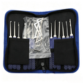 Premium Blue Handle 12pcs Lock Pick Set with 5pcs Tension Wrenches