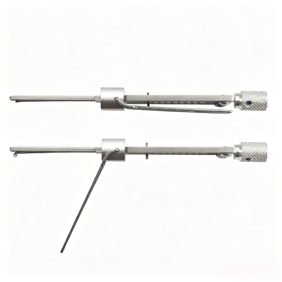 Li's SS005 2-in-1 Residential Lock Maintenance Tool